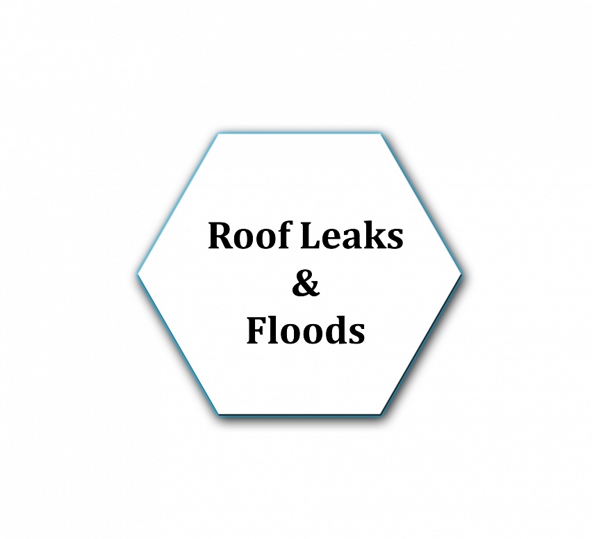 Roof leaks